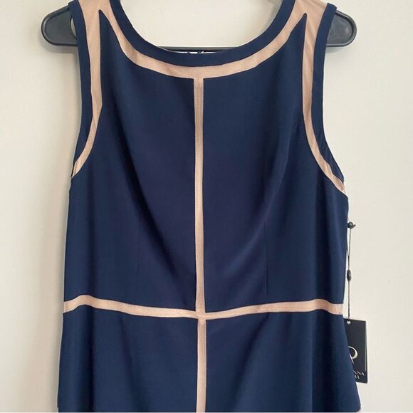 Adrianna Papell Women's Colorblocked Matte Jersey Fit and Flare Women's 14 NWT - Picture 3 of 10